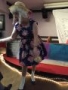 IMG 0331